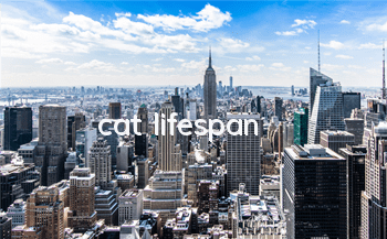 cat lifespan