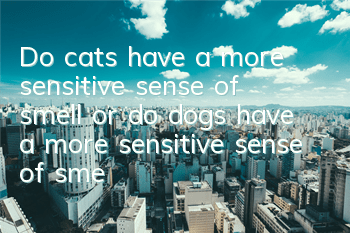 Do cats have a more sensitive sense of smell or do dogs have a more sensitive sense of smell?