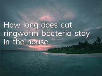 How long does cat ringworm bacteria stay in the house?