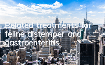 Related treatments for feline distemper and gastroenteritis