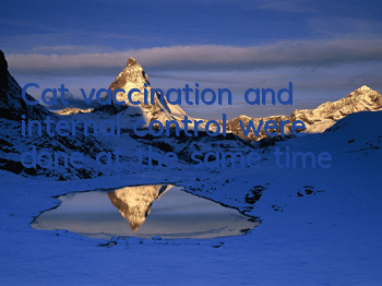 Cat vaccination and internal control were done at the same time