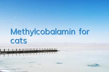 Methylcobalamin for cats
