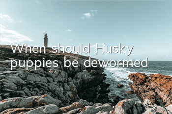 When should Husky puppies be dewormed?