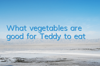 What vegetables are good for Teddy to eat?