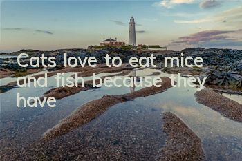 Cats love to eat mice and fish because they have