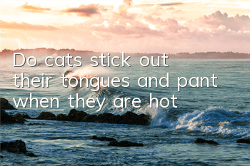 Do cats stick out their tongues and pant when they are hot?