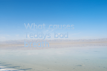 What causes Teddy's bad breath?