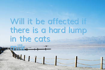 Will it be affected if there is a hard lump in the cat's milk?