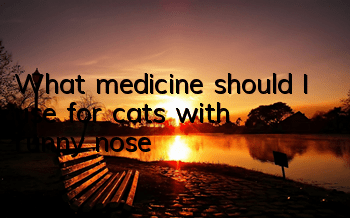 What medicine should I use for cats with runny nose?