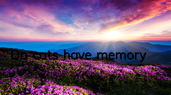 Do cats have memory?