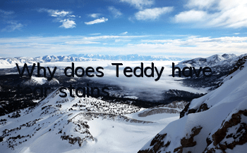 Why does Teddy have tear stains?