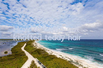 How to comb out knotted teddy hair