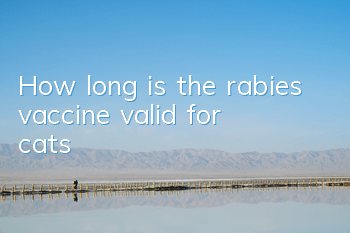 How long is the rabies vaccine valid for cats?