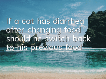If a cat has diarrhea after changing food, should he switch back to his previous food?