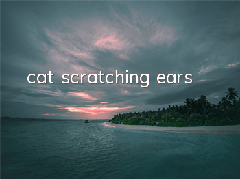 cat scratching ears