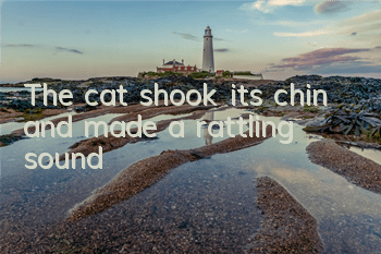 The cat shook its chin and made a rattling sound