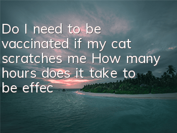 Do I need to be vaccinated if my cat scratches me? How many hours does it take to be effective?