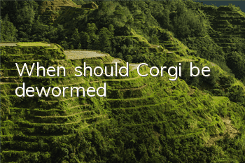 When should Corgi be dewormed?