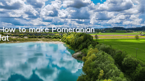 How to make Pomeranian fat