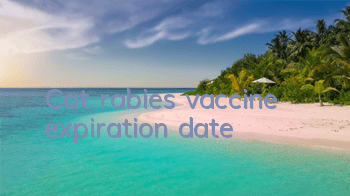 Cat rabies vaccine expiration date