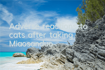 Adverse reactions to cats after taking Miaosanduo