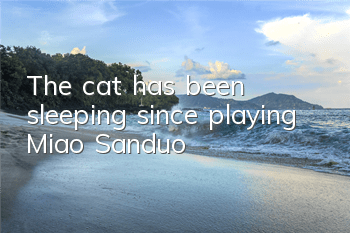 The cat has been sleeping since playing Miao Sanduo