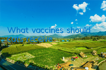 What vaccines should cats receive?