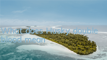 What does Husky double blood mean?