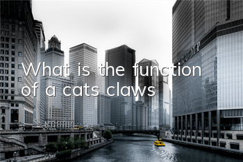 TWhat is the function of a cat’s claws?