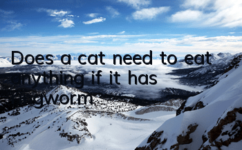 Does a cat need to eat anything if it has ringworm?