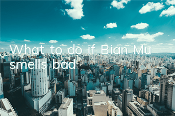 What to do if Bian Mu smells bad?