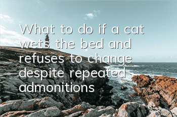 What to do if a cat wets the bed and refuses to change despite repeated admonitions