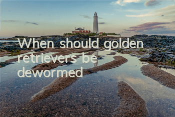 When should golden retrievers be dewormed?