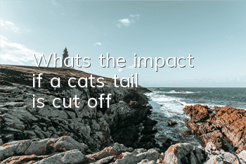 What's the impact if a cat's tail is cut off?