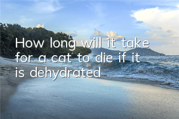 How long will it take for a cat to die if it is dehydrated?
