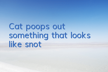 Cat poops out something that looks like snot