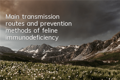 TMain transmission routes and prevention methods of feline immunodeficiency