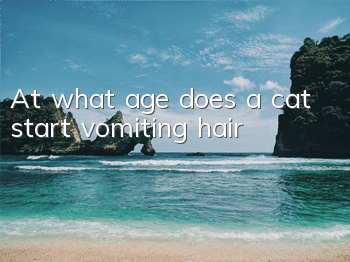 At what age does a cat start vomiting hair?