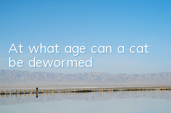 At what age can a cat be dewormed?