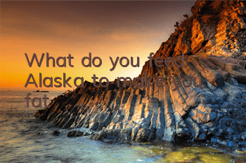 What do you feed Alaska to make you fat?