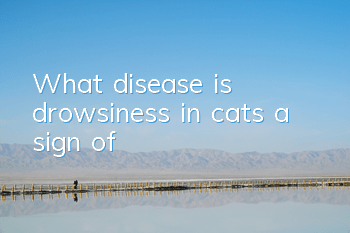 What disease is drowsiness in cats a sign of?