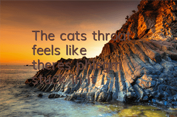 The cat's throat feels like there's phlegm stuck in it