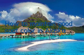 How to maintain good coat color in Alaska