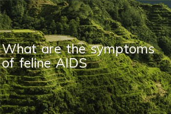 TWhat are the symptoms of feline AIDS?