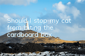 Should I stop my cat from biting the cardboard box?