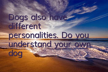 TDogs also have different personalities. Do you understand your own dog?