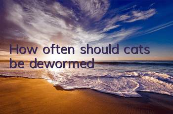 How often should cats be dewormed?