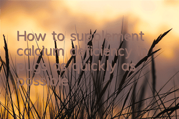 How to supplement calcium deficiency in pugs as quickly as possible
