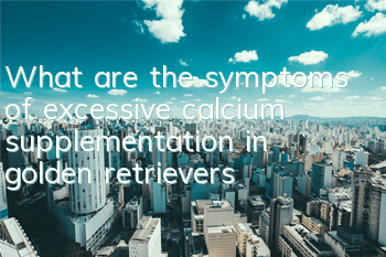 TWhat are the symptoms of excessive calcium supplementation in golden retrievers?