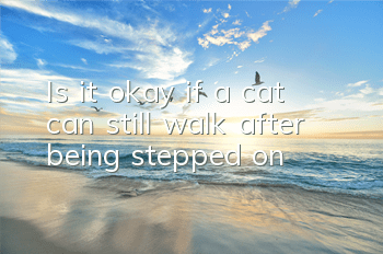 Is it okay if a cat can still walk after being stepped on?